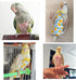 3-Packs Bird Diaper Flight Suit, Lightweight Reusable Washable Elastic-Straps Parrot Clothes for Peony/Monk Parakeet