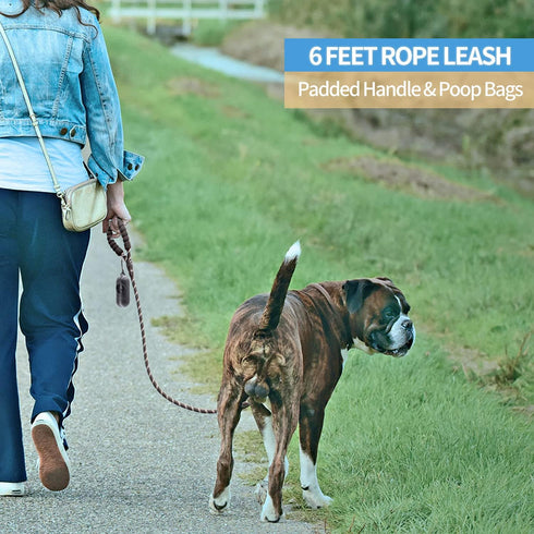 BAAPET Dog Leash with Comfortable Padded Handle, 2/4/5/6 FT for Small Medium and Large Dogs (6FT-1/2'', Black)