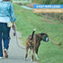 BAAPET Dog Leash with Comfortable Padded Handle, 2/4/5/6 FT for Small Medium and Large Dogs (6FT-1/2'', Black)