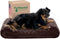 Furhaven Orthopedic Dog Bed for Medium/Small Dogs, Removable Washable Cover, Ultra Plush Faux Fur & Suede Luxe Lounger