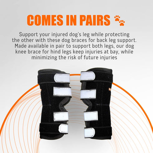 NeoAlly Rear Leg Hock Brace for Large Dogs, Metal Spring Strips for Hock & Ankle Support, Medium Size