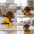 Dog Squeaky Plush Toy with Rope - Durable Stuffed Dog Toy with Built-in Squeaker, Interactive Chew Toy for Small