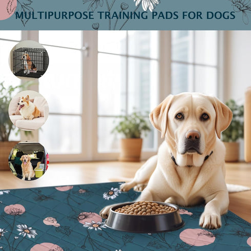 IEUUMLER 2 Pack Pack EU007 24"X48"-2pcs) Washable Pee Pads for Dogs, Non-Slip & Waterproof Whelping Pad, Reusable