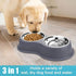 Dog Bowls Double Stainless Steel Water and Food Bowls with Non-Slip Resin Station for Medium Dogs