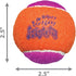(3 Pack) (2 Packs) KONG - SqueakAir Birthday Balls Durable Non-Abrasive Fetch Toy with Built-in Squeaker, Assorted