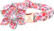 Lionheart Glory Dog Collar with Flower, Pink Peach Adjustable Collar for Small Dogs, Spring Bow