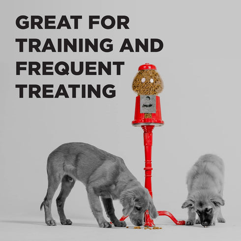 BIXBI Liberty Peanut Butter Dog Treats - Small, Low-Calorie Training Snacks