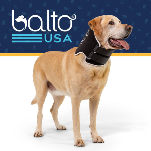 Balto Neck Eco E-Collar Alternative – Padded Dog Cone for Recovery, Protects Wounds and Rashes (Extra Small)