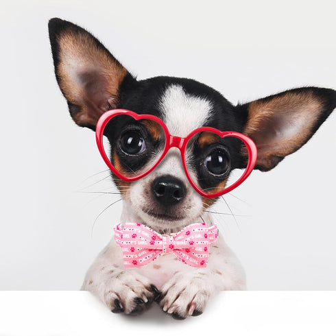 Lionheart Glory Dog Bow Collar, Valentine's Day Pink Collar with Bowtie for X-Large Dogs