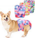 Female Dog Diapers Reusable No Tail Hole Period Panties Washable 3 Pack