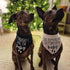 2 Pregnancy Announcement Dog Bandanas - Our Humans are Getting Us A Baby I Thought I was The Baby Dog Bandana - Pcs