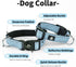 IVY&LANE 2 Pack Reflective Dog Collars and Leash Set, Adjustable Neoprene Padded Collars for Small Medium Large Dogs