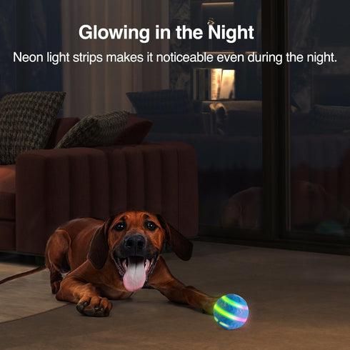 ALL FOR PAWS Interactive LED Dog Ball, Motion Activated Moving Toy for Day/Night Play, USB Rechargeable