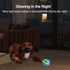 ALL FOR PAWS Interactive LED Dog Ball, Motion Activated Moving Toy for Day/Night Play, USB Rechargeable