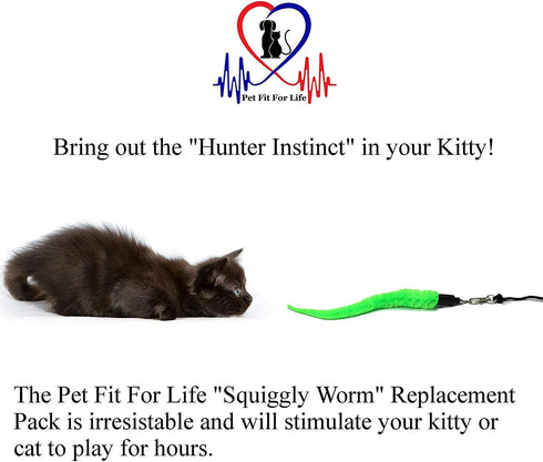 Pet Fit For Life 5 Piece Kitten Toy Refill Pack, Replacement for Indoor Cat's Interactive Wand, 5 Assorted Soft
