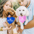 Big Sister Dog Bandanas Pink Dog Scarfs for Small Medium Large Dogs, New Baby Announcement Pet Accessories Pregnancy