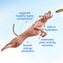 Immune 60 Native Pet Goat Milk Powder - Dog Food Topper for Active Dogs - Post-Activity Recovery, Energy, Support