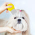Lice Comb Flea Comb Set for Cats and Dogs, Metal Fine Tooth Comb to Remove Tear Marks, Dandruff, and Hair