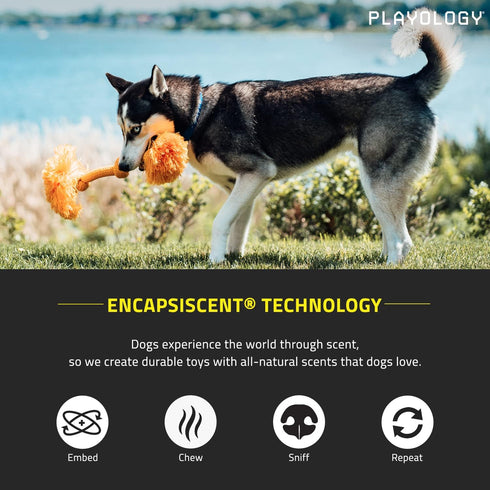 Playology Dri Tech Rope Dog Chew Toy for Medium Breeds (15-35lbs), All-Natural Cheddar Cheese Scented