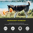 Playology Dri Tech Rope Dog Chew Toy for Medium Breeds (15-35lbs), All-Natural Cheddar Cheese Scented