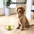 Large Dog Bowl, Gold Stainless Steel for Large Dogs, Study and Rust-Resistant, Stylish Design, 7 Inch (W) 2.6 Inch (H)