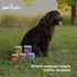 90 Dog Dental Powder | Tartar Control, Bamboo Extract & Green Tea for Clean Teeth, Healthy Gums & Periodontal Support |