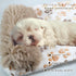 Dog Crate Mat with Pillow - Warm Kennel Liner Blanket, Plush Big Dog Bed 35x26 inches