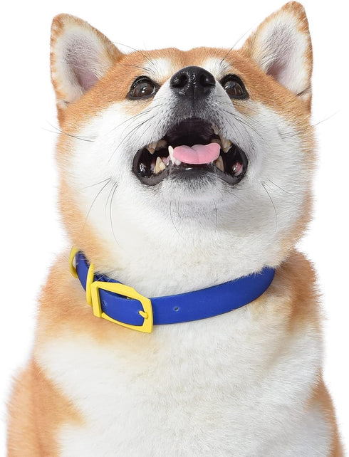 Wags & Wiggles Waterproof PVC Collar Navy, Small Blue and Yellow Dog Collar for Pool or Lake