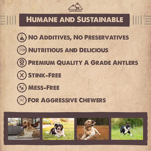 Premium All-Natural Grade A Elk Antlers for Dogs, No Additives, No Preservatives, Made in USA (Medium/Large)