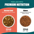 SUPER3+ Dry Cat Food (Salmon+Freeze Dried Raw Salmon+Salmon Fish Oil) | High-Protein | Grain-Free | 3 lbs
