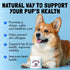 Omega 3 Alaskan Salmon Oil Treats for Dogs - 120 Fish Oil Chews for Skin, Coat, Allergy, and Joint Health