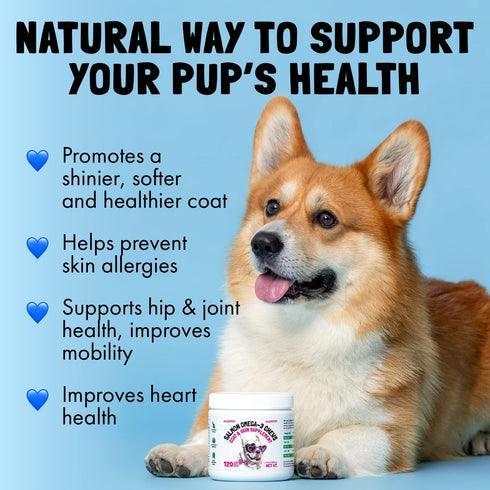 Omega 3 Alaskan Salmon Oil Treats for Dogs, 30 Fish Oil Chew Supplement for Skin and Coat Health