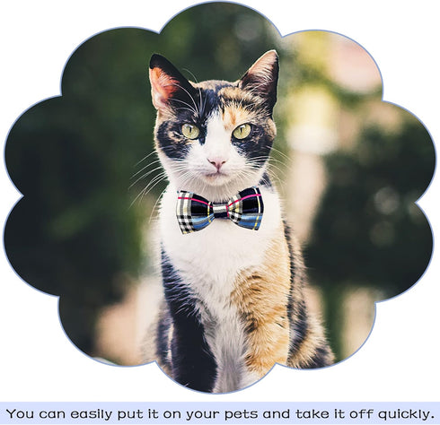PET SHOW Pet Small Dogs Collar Attachment - Bow Ties for Puppies, Cats, Birthday, Wedding Parties