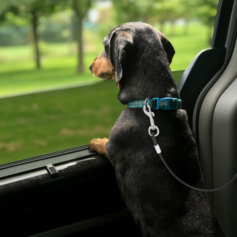 Mogoko Chew Proof Dog Car Seatbelt - Safety Restraint Pet No-Chew Tether Cable - L Size, 40 inch