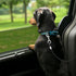 Mogoko Chew Proof Dog Car Seatbelt - Safety Restraint Pet No-Chew Tether Cable - L Size, 40 inch