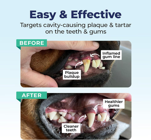 Vetnique Dentabliss Dog Teeth Cleaning Finger Mitt - Dental Wipe for Plaque and Tartar Prevention, Peppermint