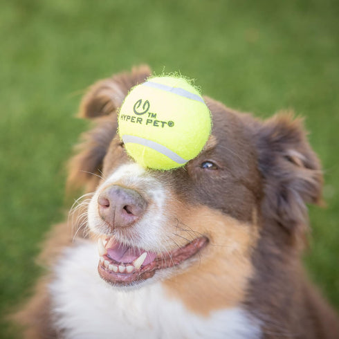 Tennis Balls for Dogs, Hyper Pet, 4 Pack, 2.5" Green, Safe Dog Ball for Exercise & Training