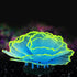 Besimple Artificial Coral Ornament, Glowing Effect Resin Aquarium Plants for Fish Tank Decorations in Blue