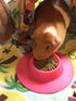 Tip-Proof Ergonomic Pet Bowl, 1/4-Cup Small Size for Guinea Pig and Other Small Pets, Fuchsia (Pink)