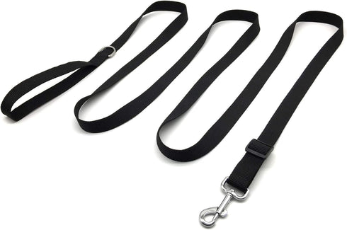 TAIAN Adjustable Nylon Dog Leash, 10 Foot Long Leashes for Medium Large Dogs