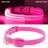 Light Up Collar for Small Dogs & Cats - Reflective LED Dog Collar for Nighttime Walking (Pink)