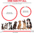 HIGO Light Up Dog Collar - Lightweight USB Rechargeable LED Collar for Dogs and Cats Walking at Night (Red-Silicone)