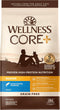 Wellness CORE+ Natural Grain-Free High Protein Adult Dry Cat Food, Salmon and Herring Meal, Indoor Recipe, 11 Pound Bag