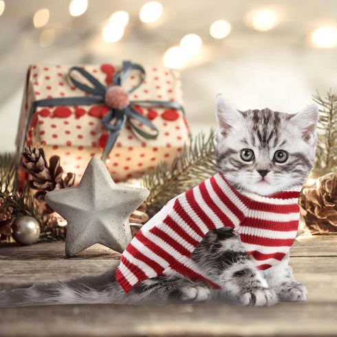 Dog Christmas Sweater, Cute Striped Santa Claus Costume for Small Medium Large Dogs (XXS, Red White Stripe)