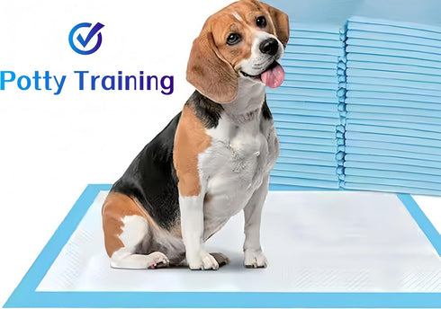ConLithGo 6-Layer Pads-20 Leak-Proof Puppy Potty Training Pads with Diamond Embossing, Super Absorbent Quick-Dry