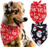 BoomBone 2 Pack Christmas Dog Bandana, Triangle Bibs Pet Scarf for Medium to Large Dogs