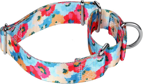 Martingale Collar for Dogs 1 inch Sturdy Durable Collars Medium and Large Breed for Walking Training Outdoor Daily Use