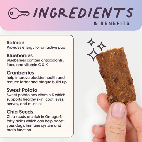 5 Oz Bundle x Joy Ride & Vibe Salmon Jerky for Dogs - Bag, Natural Superfood - Corn, Poultry, Soy & Grain Free Salmon