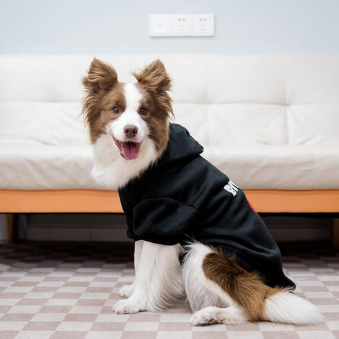 EXPAWLORER Dog Hoodies, Soft and Warm Sweatshirt with Leash Hole, Fall Fleece Pet Clothes for Small Medium Large Dogs