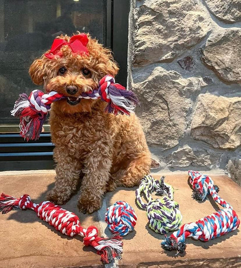 Pacific Pups Rope Dog Toys for Small and Medium Dogs, Cotton Ropes for Boredom, Non-profit Dog Rescue